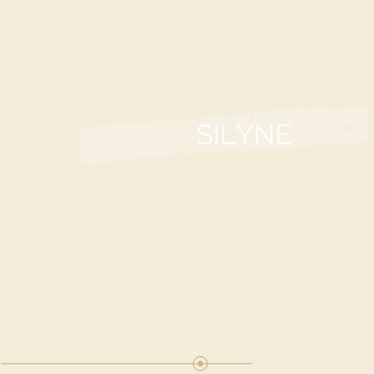 162 SILYNE