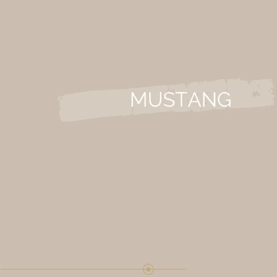 Mustang