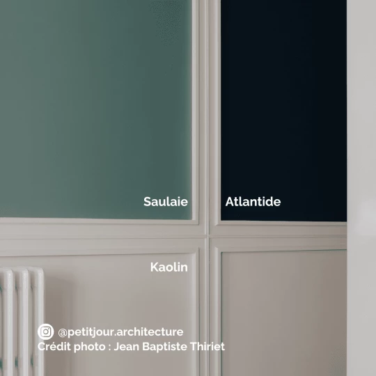 Peinture intérieure Saulaie