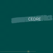Peinture intérieure biosourcée vert Cèdre