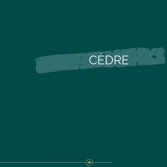 Peinture intérieure biosourcée vert Cèdre