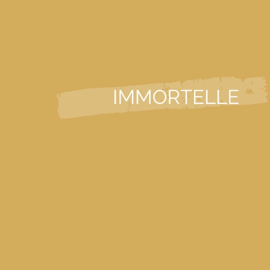 Peinture intérieure Immortelle