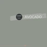 Schmidt x Colibri Avocado