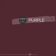 Schmidt x Colibri Purple