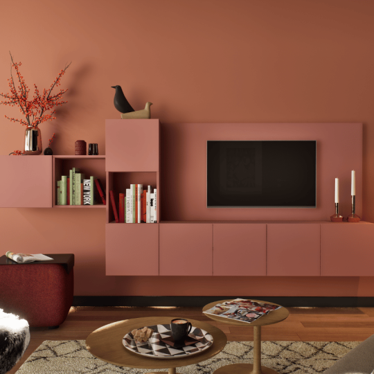 Schmidt x Colibri Coral