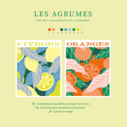 Agrumes coffret de peinture au numéro par Salut Irène