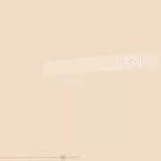 019 | GEAI