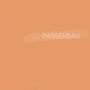 020 | PASSEREAU