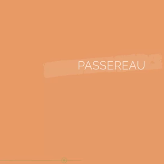 020 | PASSEREAU