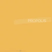 028 | PROPOLIS