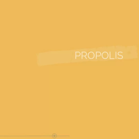 028 | PROPOLIS