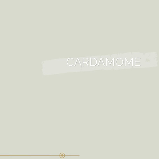 037 | CARDAMOME