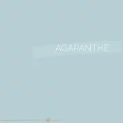053 | AGAPANTHE