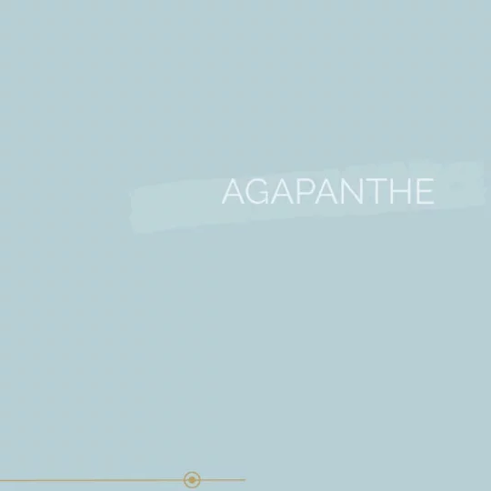 053 | AGAPANTHE