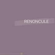 070 | RENONCULE
