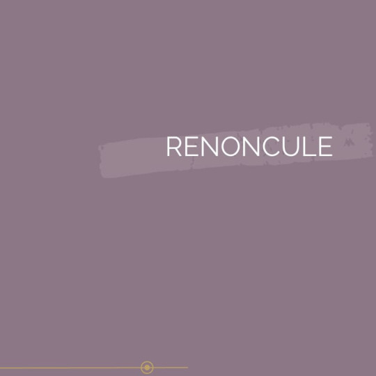 070 | RENONCULE