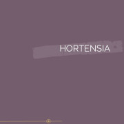 072 | HORTENSIA