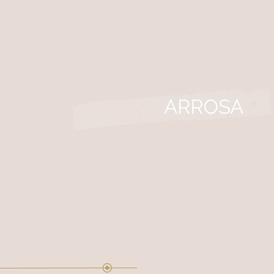 080 | ARROSA