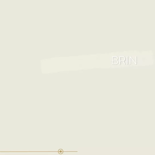 091 | BRIN