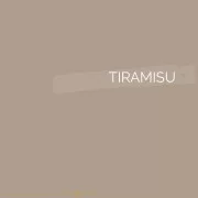 100 | TIRAMISU