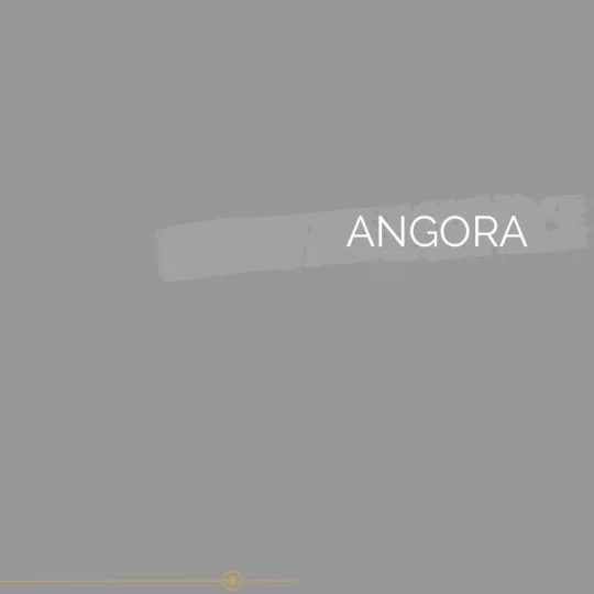 119 | ANGORA