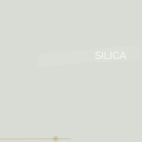 122 | SILICA