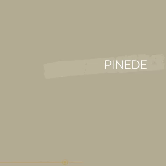 138 | PINEDE