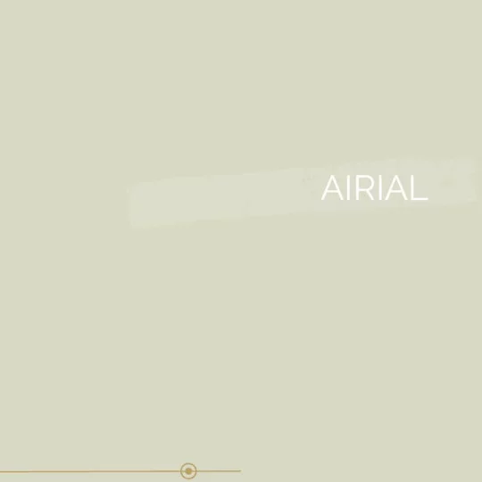 140 | AIRIAL