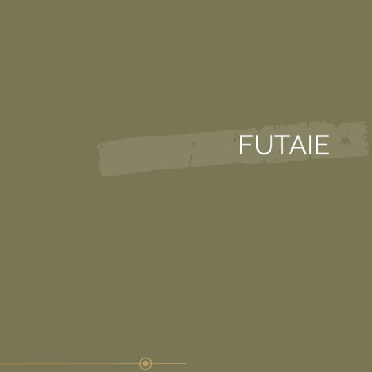 144 | FUTAIE