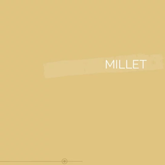 147 | MILLET
