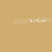150 | SORGHO