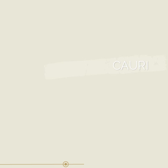 169 | CAURI
