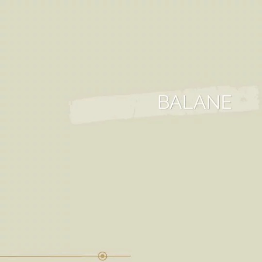 175 | BALANE