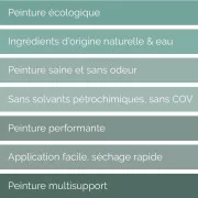 Des peintures de qualité aux performances élevées