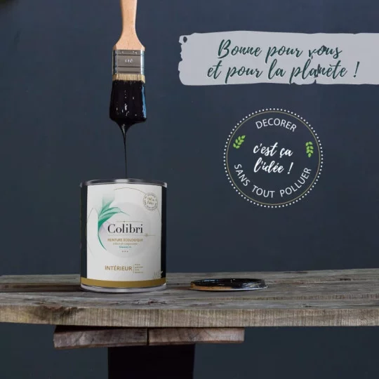 Peinture écologique Colibri : allie déco, santé et environnement !