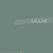 042 | SAULAIE