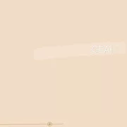 019 | GEAI