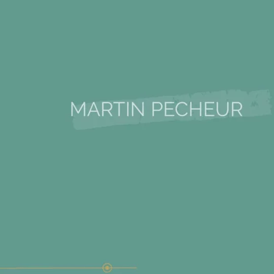 041 | MARTIN PECHEUR