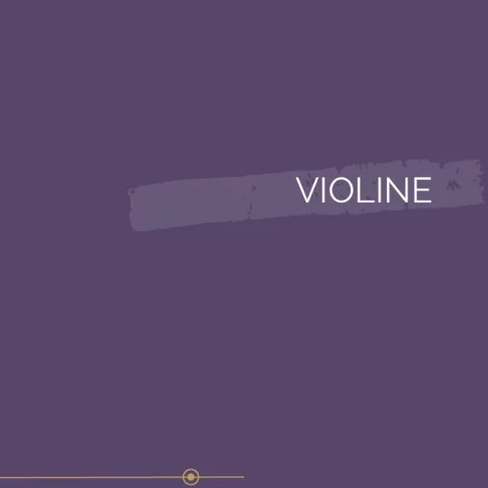 071 | VIOLINE
