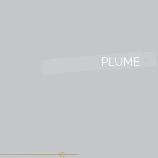 117 | PLUME