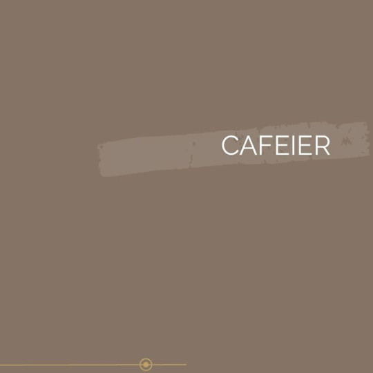 101 | CAFEIER