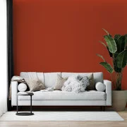 013 | COQUELICOT