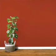 013 | COQUELICOT