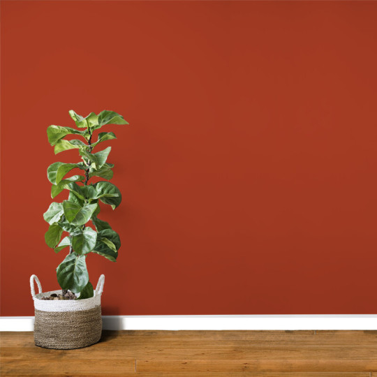 013 | COQUELICOT