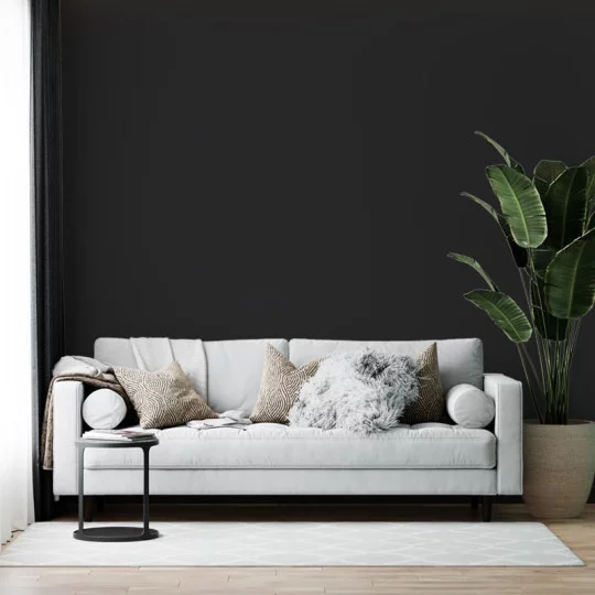 NOIR
