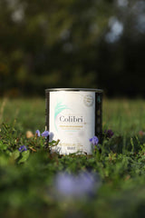 Peinture bio, écologique, non toxique : comment bien choisir sa peinture naturelle ?