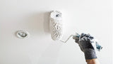 Quelle peinture utiliser pour réussir un plafond sans trace ? Colibri vous guide