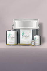 Soierie - Peinture biosourcée murs et plafonds