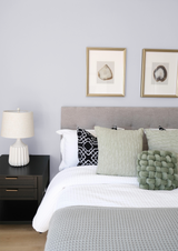 Blanc pur - Peinture biosourcée murs et plafonds