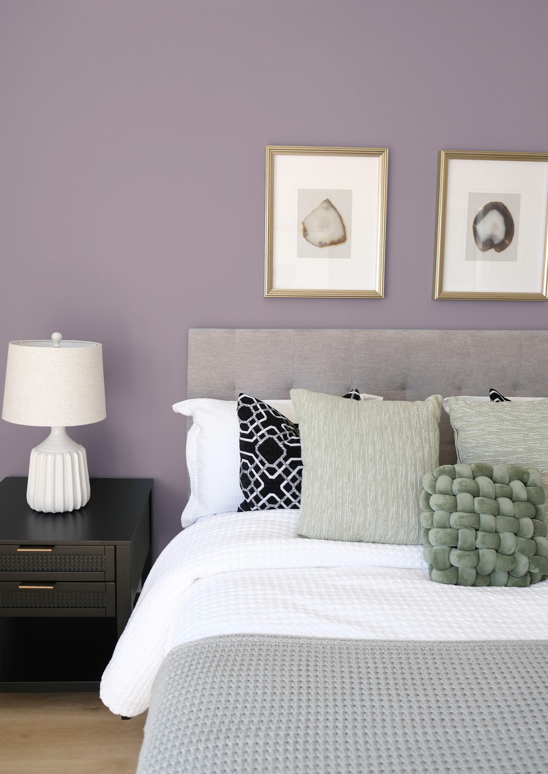 Ruban - Peinture biosourcée murs et plafonds